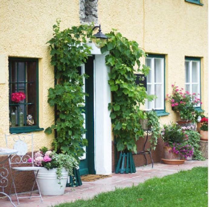 Ferienwohnung Alpenblick クヒル エクステリア 写真
