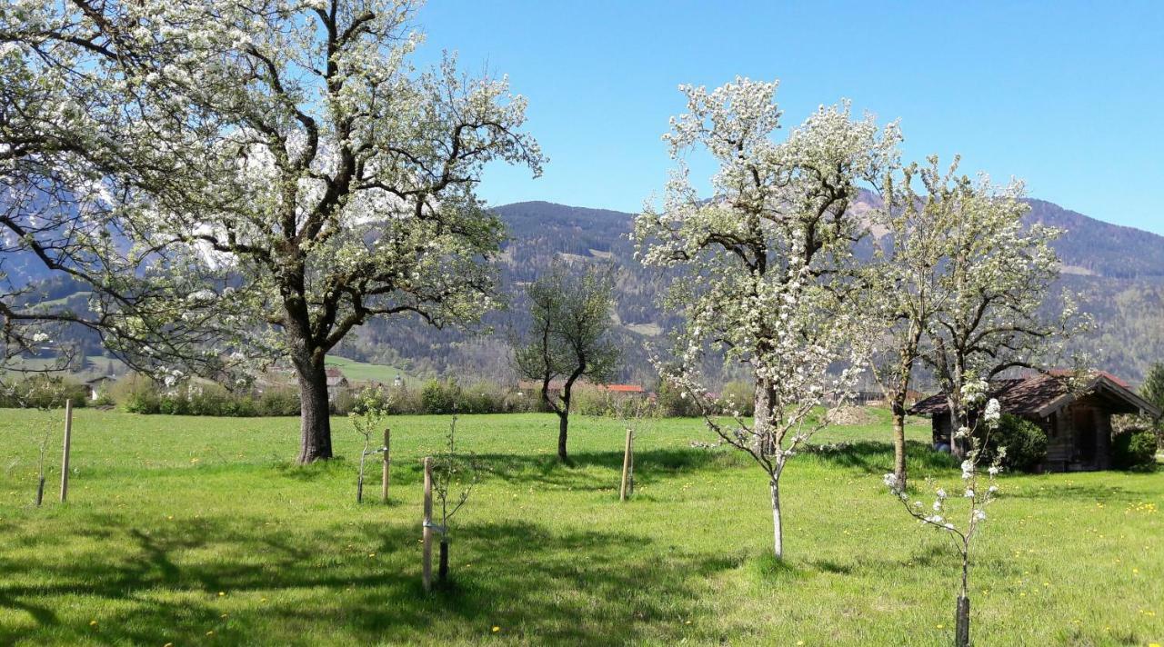 Ferienwohnung Alpenblick クヒル エクステリア 写真